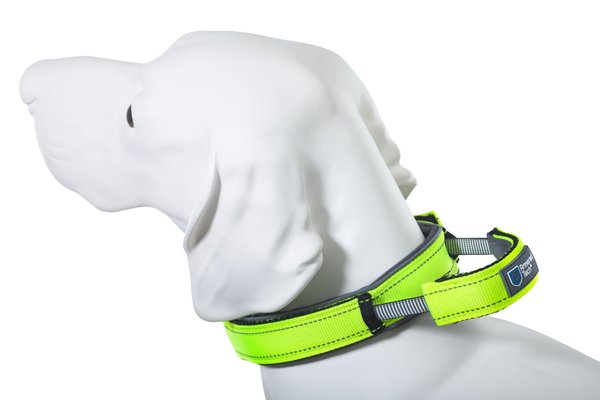 Armored Tech Dog Control Halsband mit integrierter Kurzleine Hundehalsband Gr. L