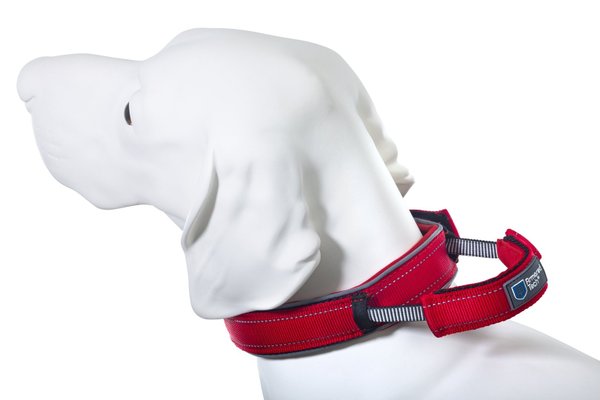 Armored Tech Dog Control Halsband mit integrierter Kurzleine Hundehalsband Gr. M