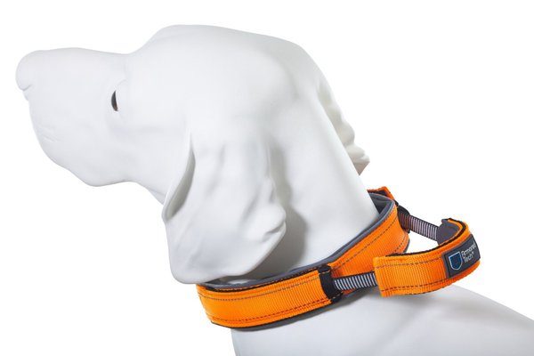 Armored Tech Dog Control Halsband mit integrierter Kurzleine Hundehalsband Gr. S