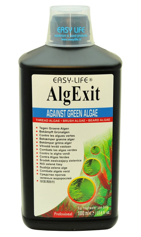 Easy Life AlgExit