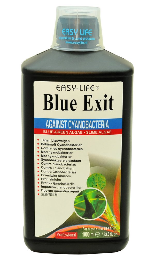 Easy Life Blue Exit